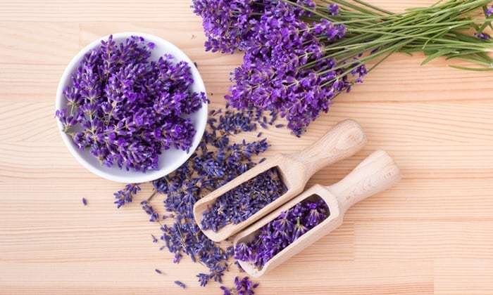 Picture : lavender